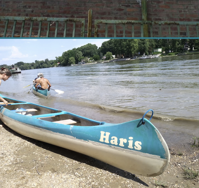 Haris kenu közelről a parton